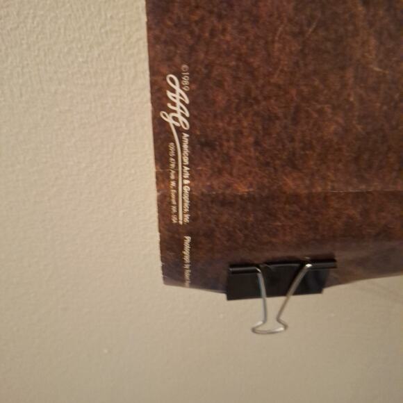 Cute Dogs And Cat Poster. PC0964 "Lot Of Trouble" 34x22 In. - Picture 4 of 5